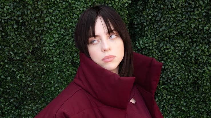 billie eilish vermögen
